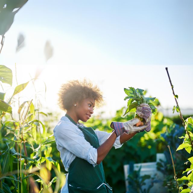 Environmental Conservation and Community Impact: NYE's Green Initiatives