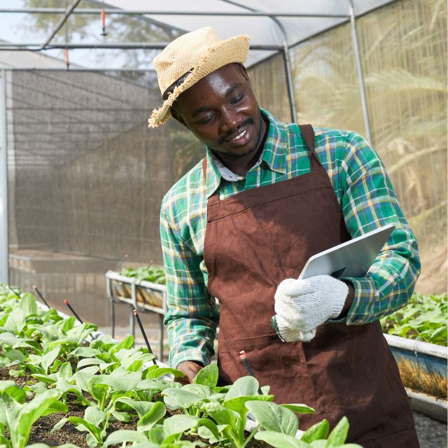 Sustainable Development Goals in Action